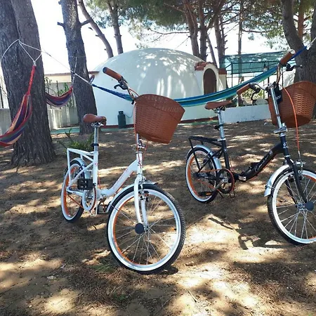 Oltremare Triscina