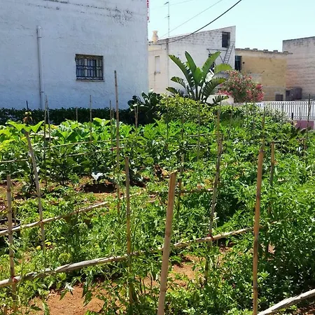 شقة فندقية Oltremare Triscina