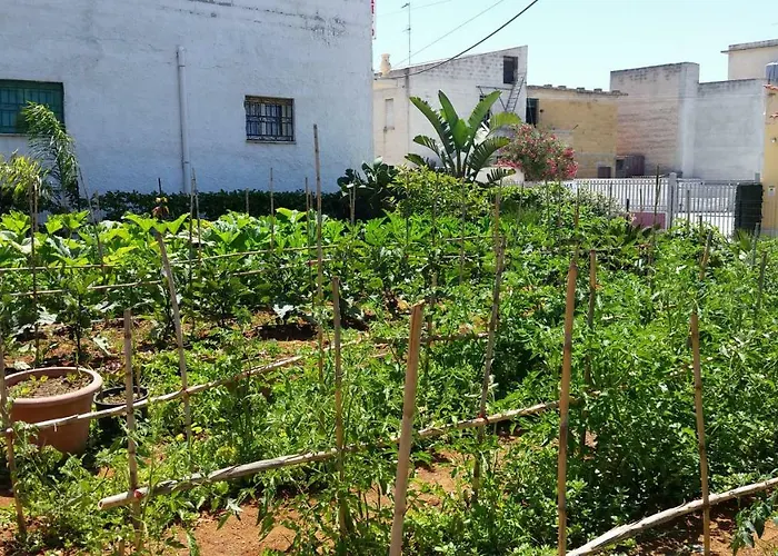 公寓式酒店 Oltremare Triscina